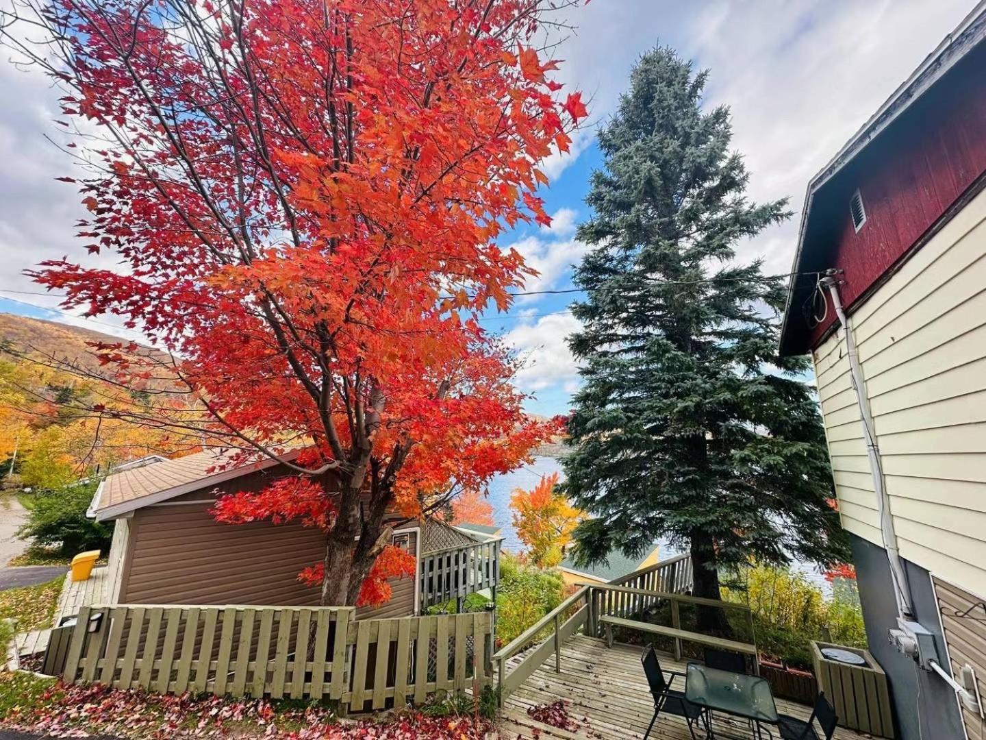 Knotty Pine Cottages, Suites & Motel Rooms Ингониш Экстерьер фото